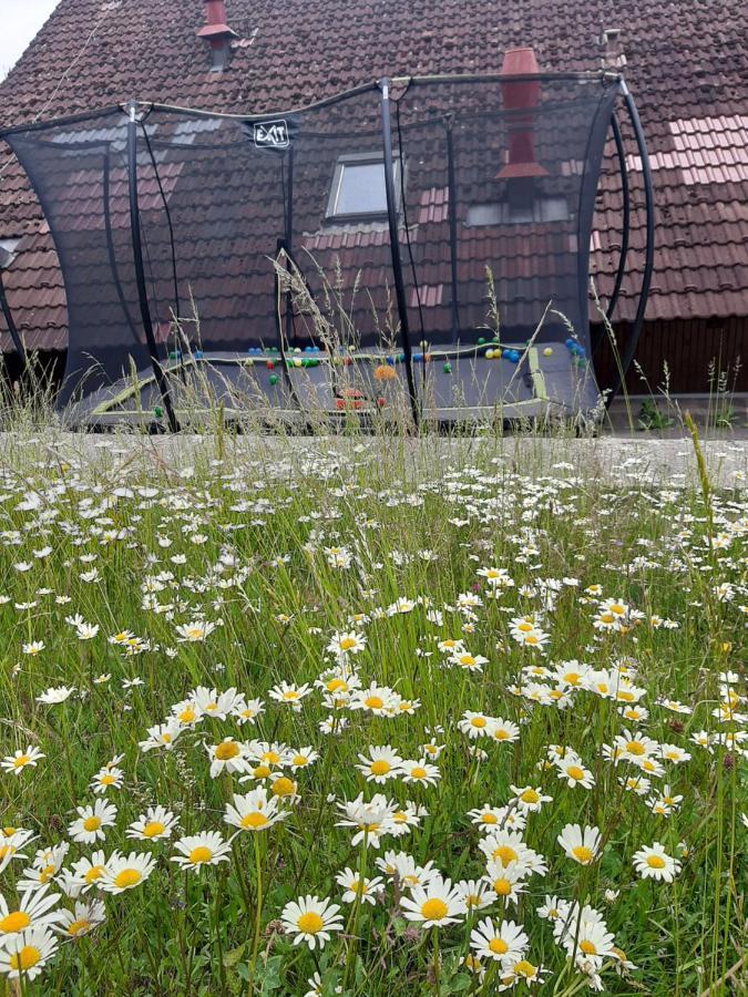 Na Budarce Paseky nad Jizerou Exteriör bild
