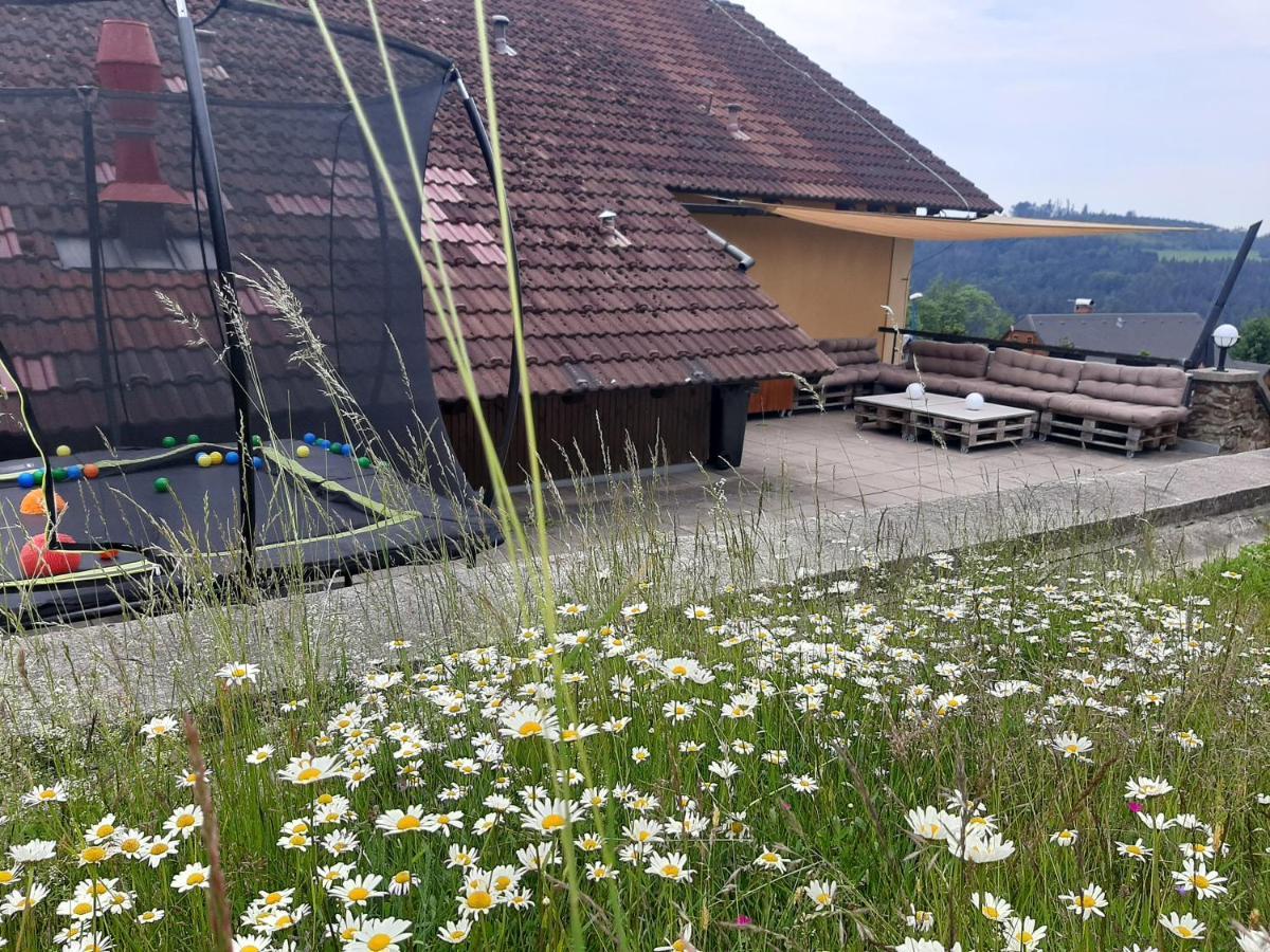 Na Budarce Paseky nad Jizerou Exteriör bild
