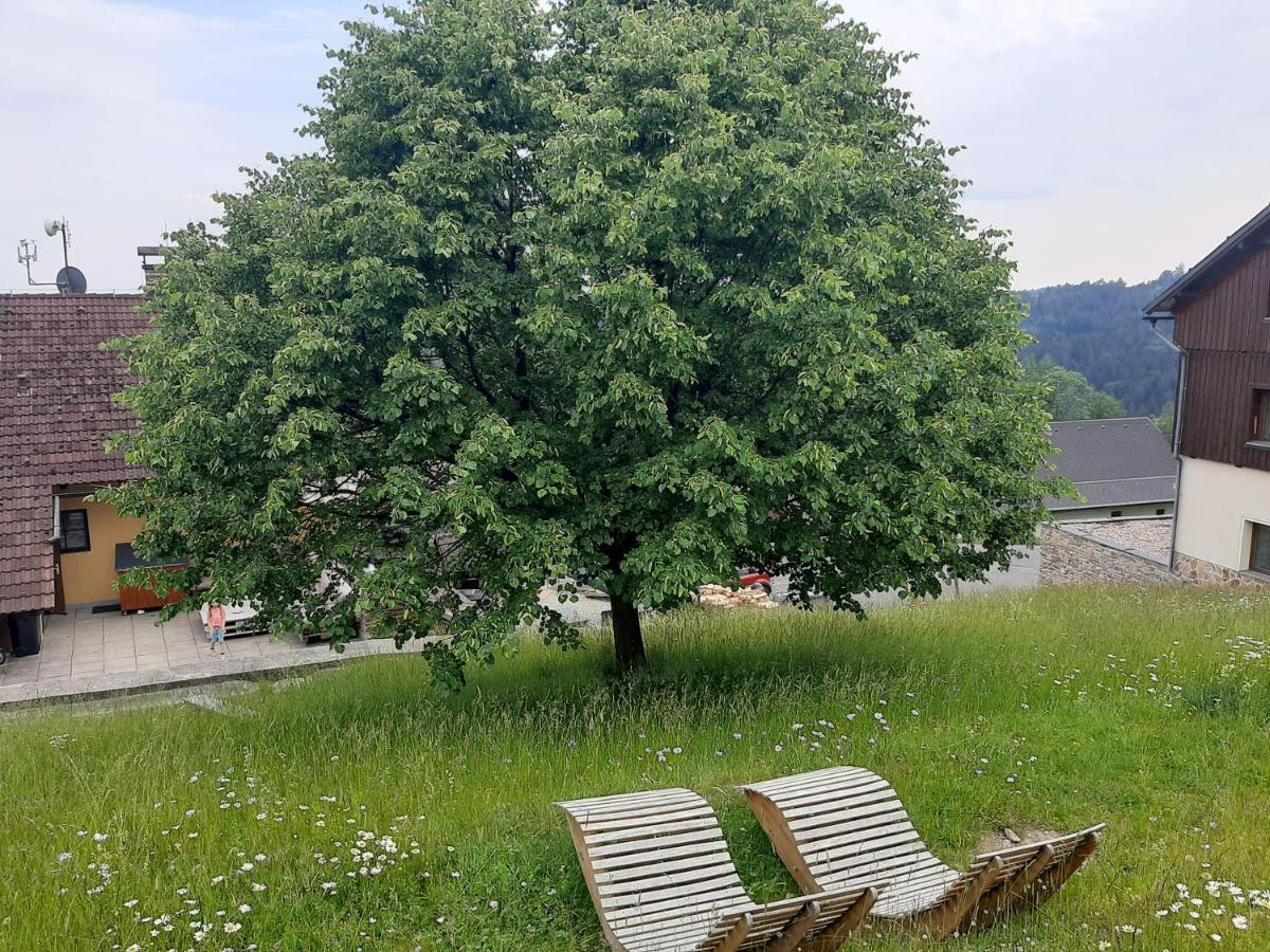 Na Budarce Paseky nad Jizerou Exteriör bild
